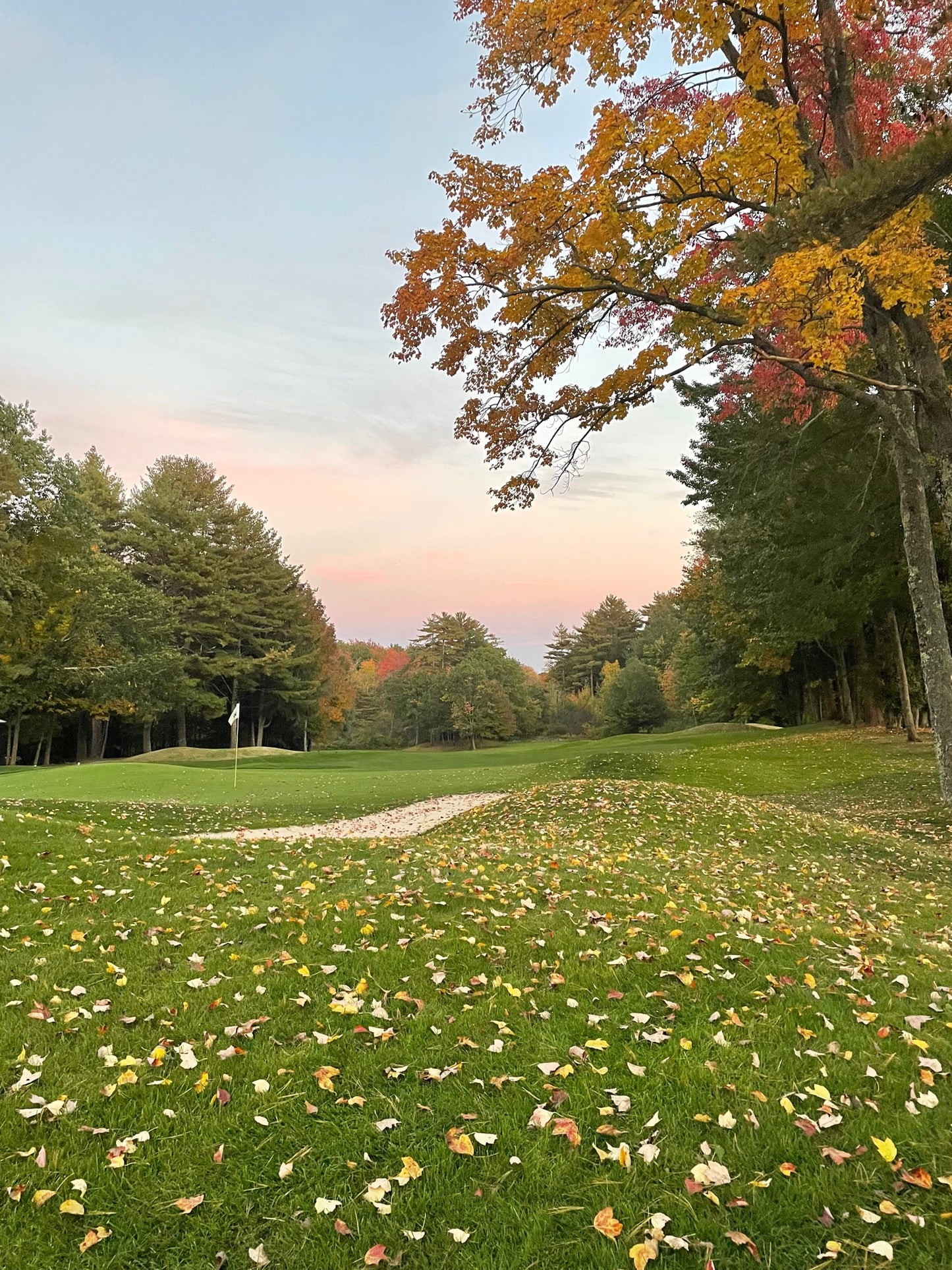 Bretwood 1 day 36 hole event