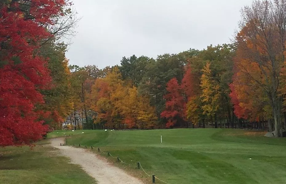 Candia Woods