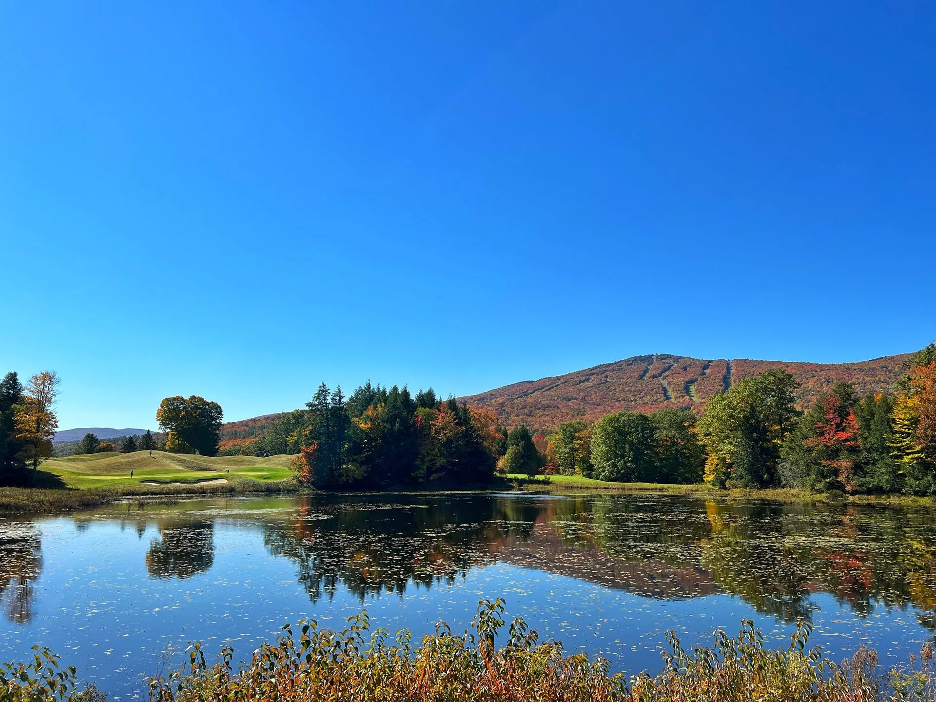Fox Run Golf Club