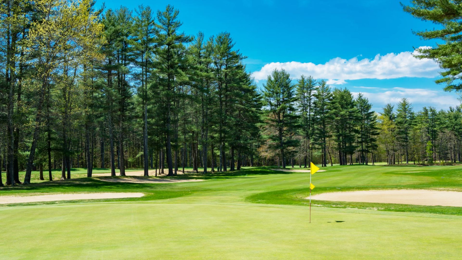 Souhegan Woods